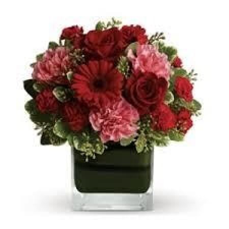 Together Forever rose delivery Brunswick