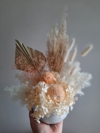 Peaches & Cream