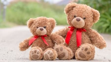 Teddy Bear