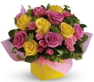 Rosy Sunshine