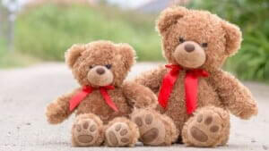Teddy Bear